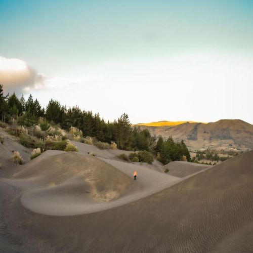 MAYORISTA DE TURISMO (500 x 500 px) (1)